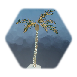 Christmas Date Palm