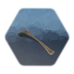 Bone Fragment