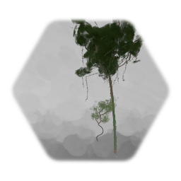 Jungle Tree and branch