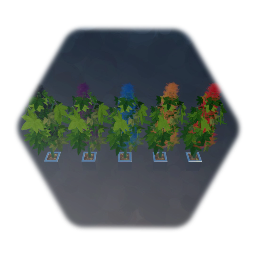 Plante chanvre textile CBD 420