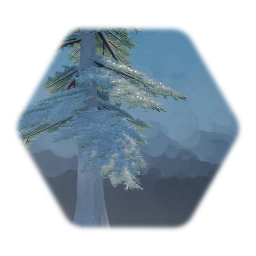 Snowy Douglas Fir Tree