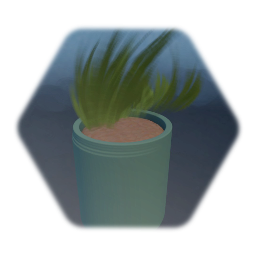 Potted Plant