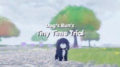 Dog's Run's Tiny Time Trial