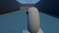 Goose in Very Weird Ice Skating Rink.