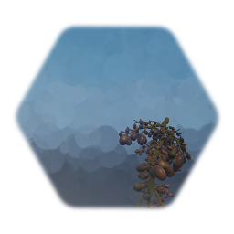 Rotting Grapes - Red