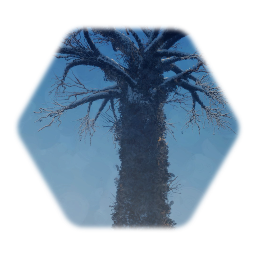 Leafless tree with ivy and snow