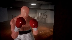 Boxing Game Animation Preview