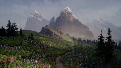 Mountain Bloom