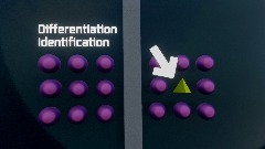 Differentiation Identification