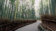 A screenshot taken in Dreams. 8 of 25.