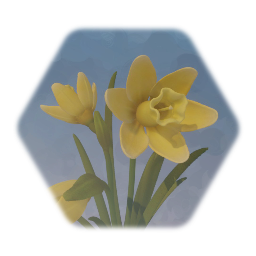 Daffodil / flower