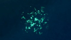 A screenshot taken in Dreams. 4 of 25.