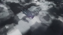 The Dreams Surfer