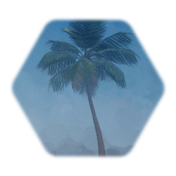 Palm Tree