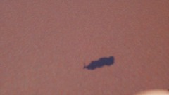 A screenshot taken in Dreams. 1 of 18.