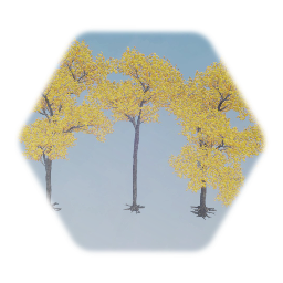 Cottonwood Trees Realistic