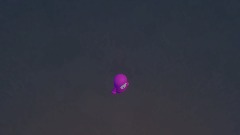 A screenshot taken in Dreams. 7 of 9.