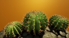 Barrel Cactus