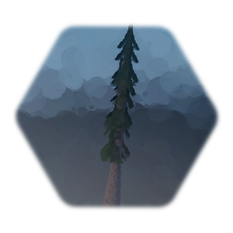 Pine Tree 3