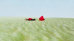 Minha Criação - 9/5/2024