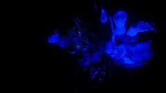 A screenshot taken in Dreams. 1 of 24.