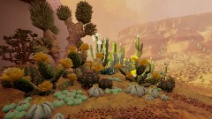 Community Garden Showcase 6: Cacti