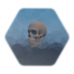 Human Skull
