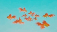 Twelve Gold Fish 十二匹の金魚