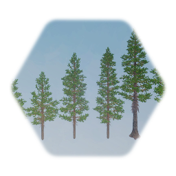 Ponderosa Pine Tree (realistic)