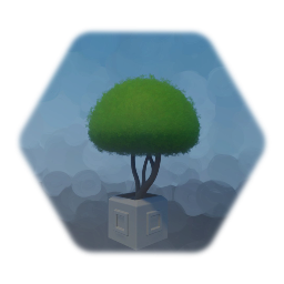 Topiary Tree in pot