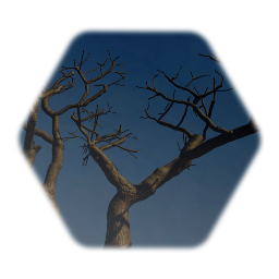 Spooky Tree Group