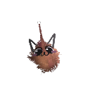 Eevee-Peezy