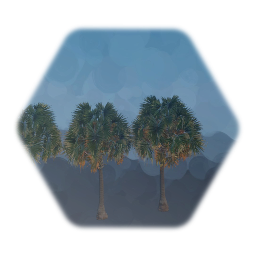 Sabal Palmetto