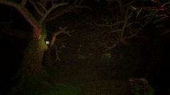 The House in The Woods Remastered