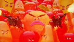 Pride + Prejudice + Grapefruits