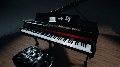 Vinesauce Vinny Synth