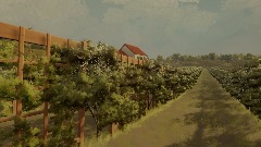 Spanish Style House in Vineyard