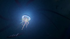 Predation sous-marine