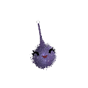 Axolotl-otlotl