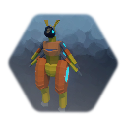 C Model
