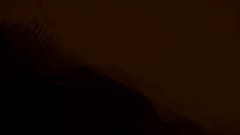 Stan Smith Is being stalked