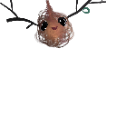 KiwiKopfHero