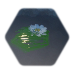 Lillypad - White Flower