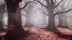 Autumn forest in the fog valley.-