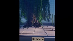 No Cameras