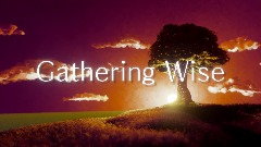 Gathering Wise | Animated Audiobook