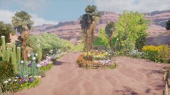 My Desert Garden
