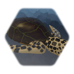 Turtle no 2