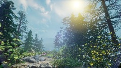 Remix of Detailed Open Mountain Vegetation Section 2