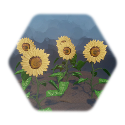 Sunflower Bed